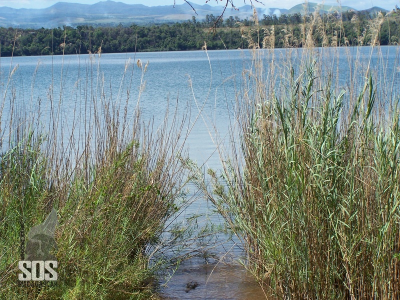 Seules les femmes et les enfants ont le droit d'aller sur le Lac Sacré pour pêcher.
Beaucoup de lacs malgaches sont infestés de crocodiles. Kodak_Z740_2004-01-03_16-49-48_100_1367.jpg