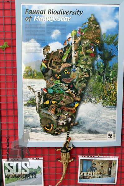 Une grande diversité d'espèces animales SOS_Mcar_Expo_3964.jpg