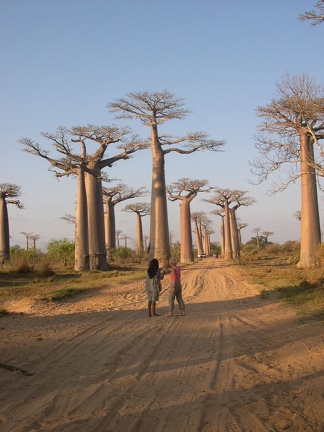 Morondava