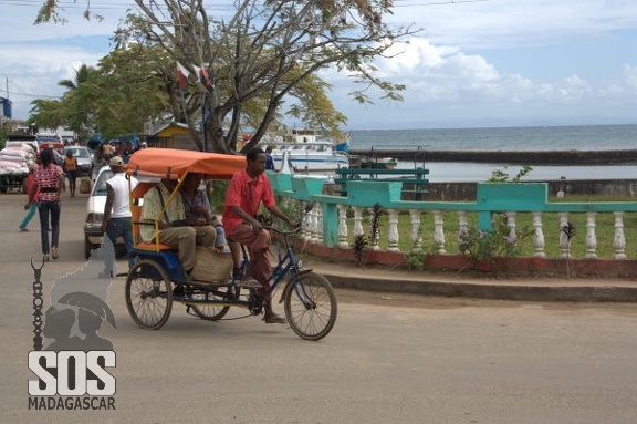 Le transport des individus