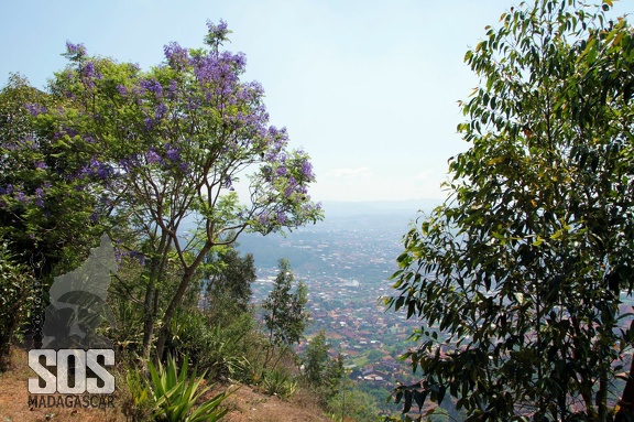 SOS Madagascar 2014 11 4254