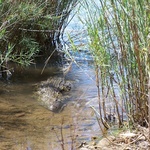 Le Lac Sacré d'Antanavo
