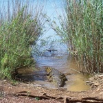 Le Lac Sacré d'Antanavo
