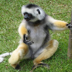 Madagascar