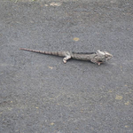 Madagascar