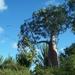 Voyage de février 2007 