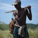 Chasseur de Tenrec 