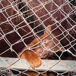  Madagascar