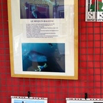 Requin-baleine