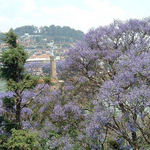 Madagascar