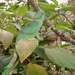 DSCF0147