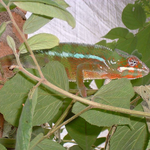 DSCF0152