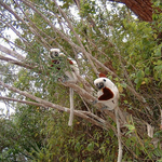 DSCF0165