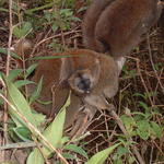DSCF0168