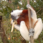 DSCF0169