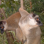 DSCF0177