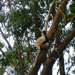 DSCF0179