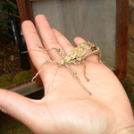 Madagascar - 
