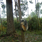 DSCF0236