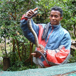 Madagascar