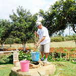 Puits de l'orphelinat en 2005