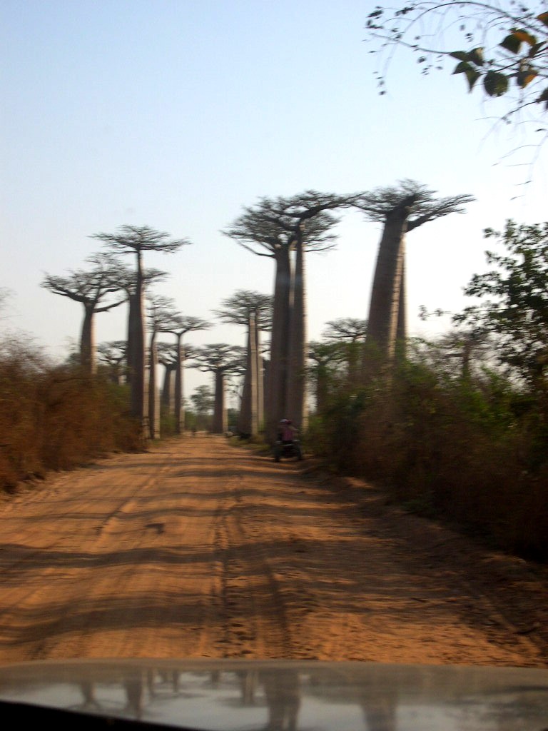 PISTEDEMORONDAVA11.jpg