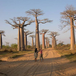 Morondava