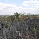 Tsingy