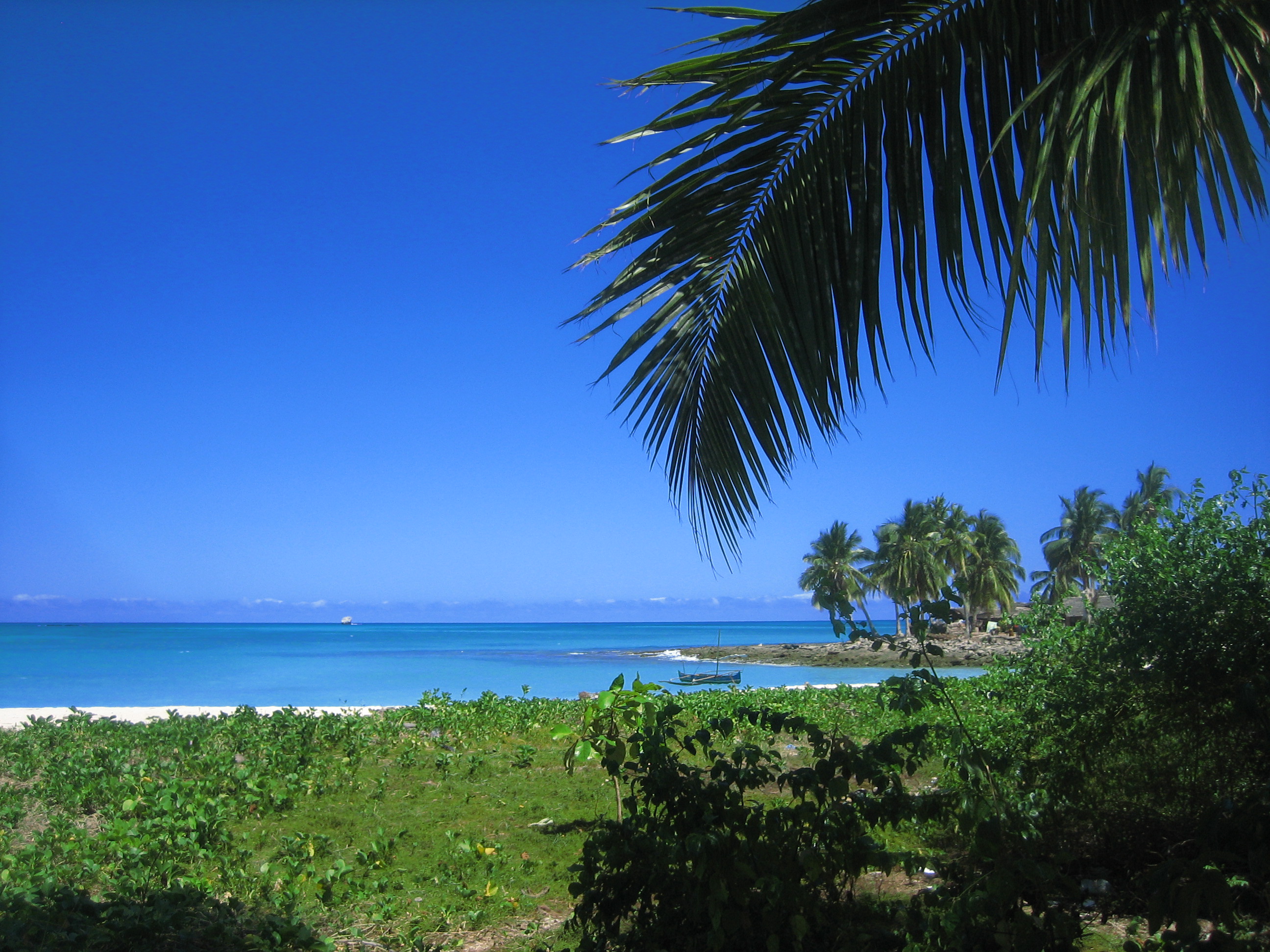 20090613134230-ced10b19.jpg