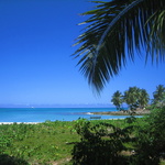 Littoral