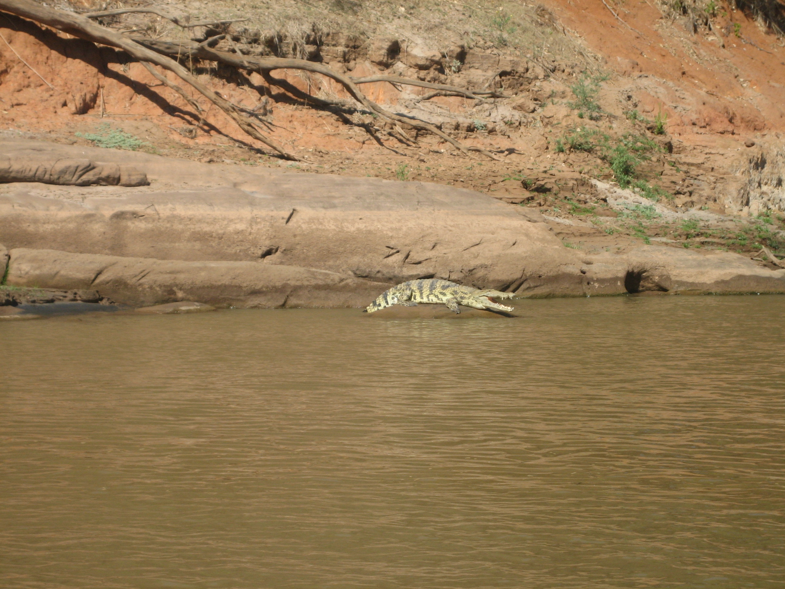 20090615221243-bde39c91.jpg