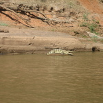 À crocs côté d'Île