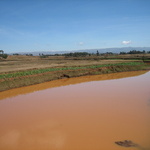 Le sang de la terre