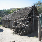Habitat du Côtier