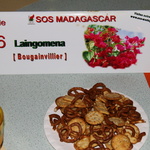 Soirée 20091113