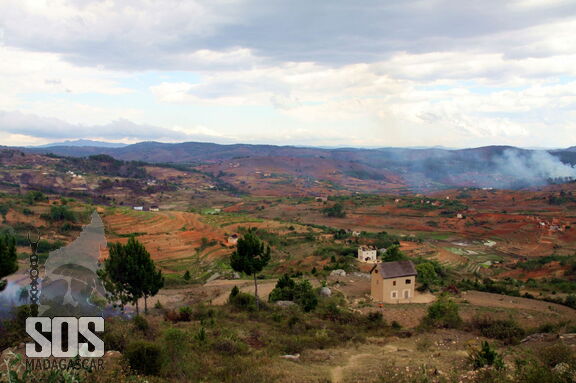 SOS Madagascar 2014 11 4166