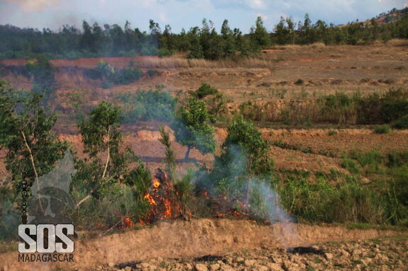 SOS Madagascar 2014 11 4185