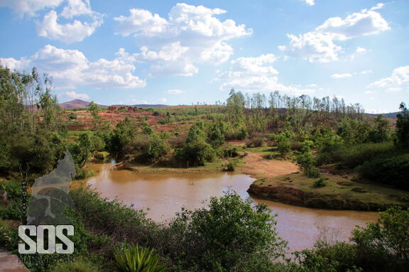 SOS Madagascar 2014 11 4192