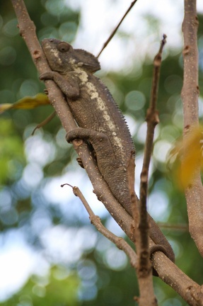 SOS Madagascar 2014 11 1674