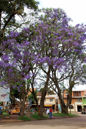 SOS Madagascar 2014 11 5033